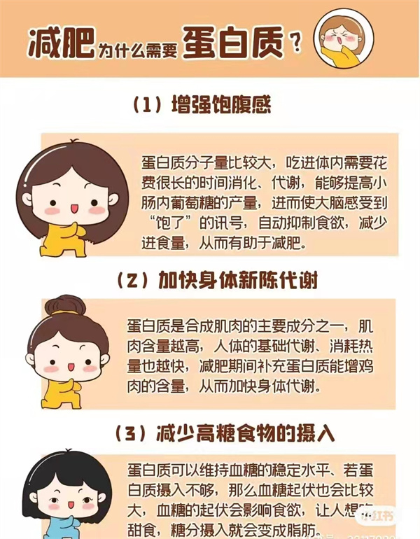 减肥为什么需要蛋白质